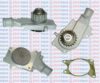 AQUAPLUS 85-1075 Water Pump